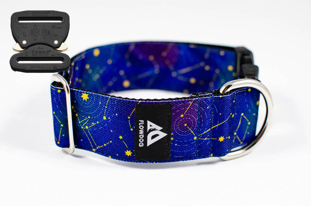 Mély lila színű csillag mintás csatos kutya nyakörv - Stardust Flowdog nyakörv - Austrialpin csatos nyakörv