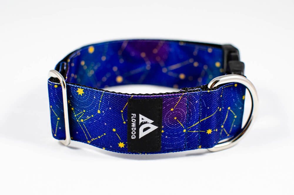 Mély lila színű csillag mintás csatos kutya nyakörv - Stardust Flowdog nyakörv - Egyedi csatos nyakörv