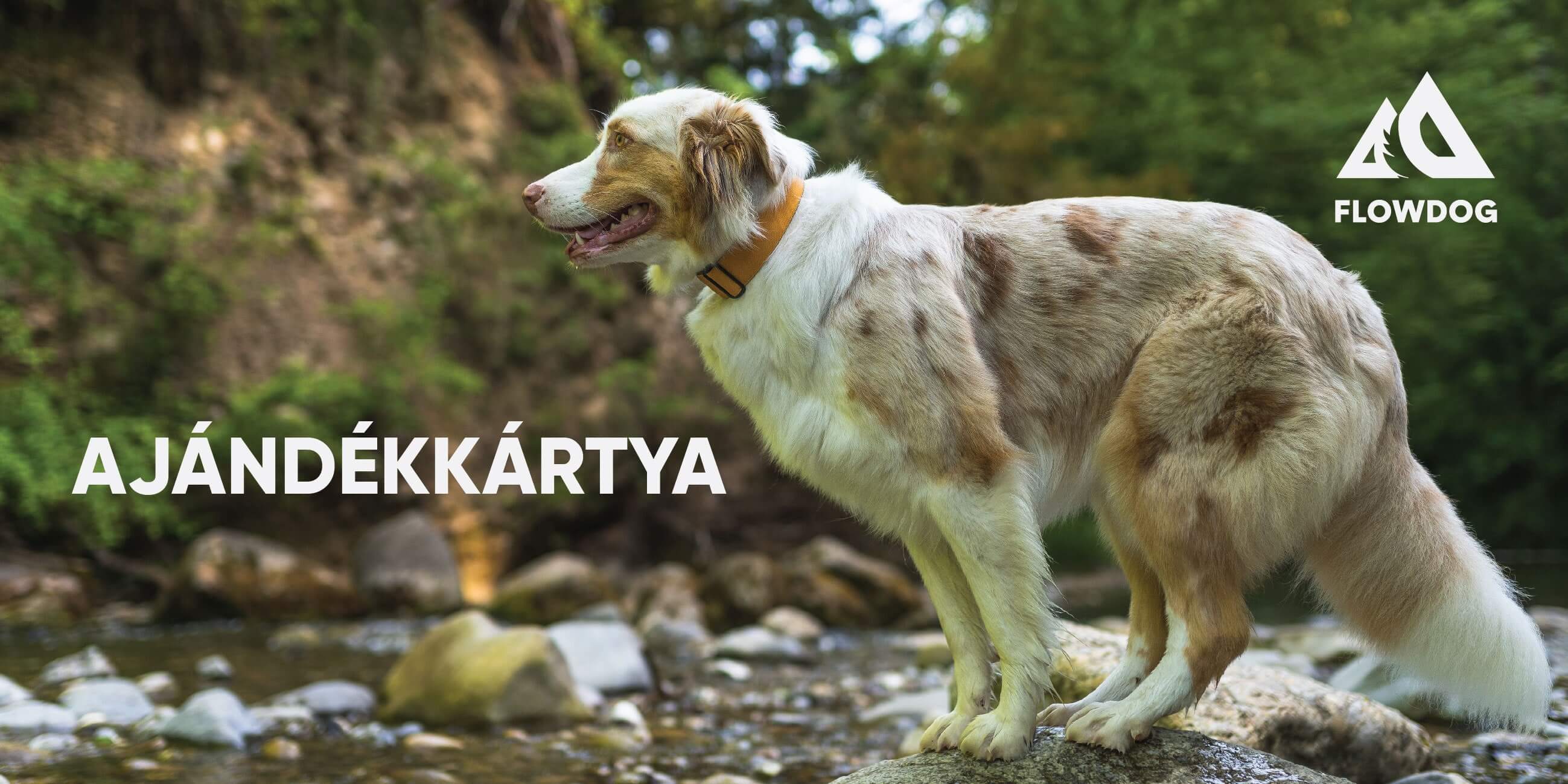 Online Ajándékkártya
