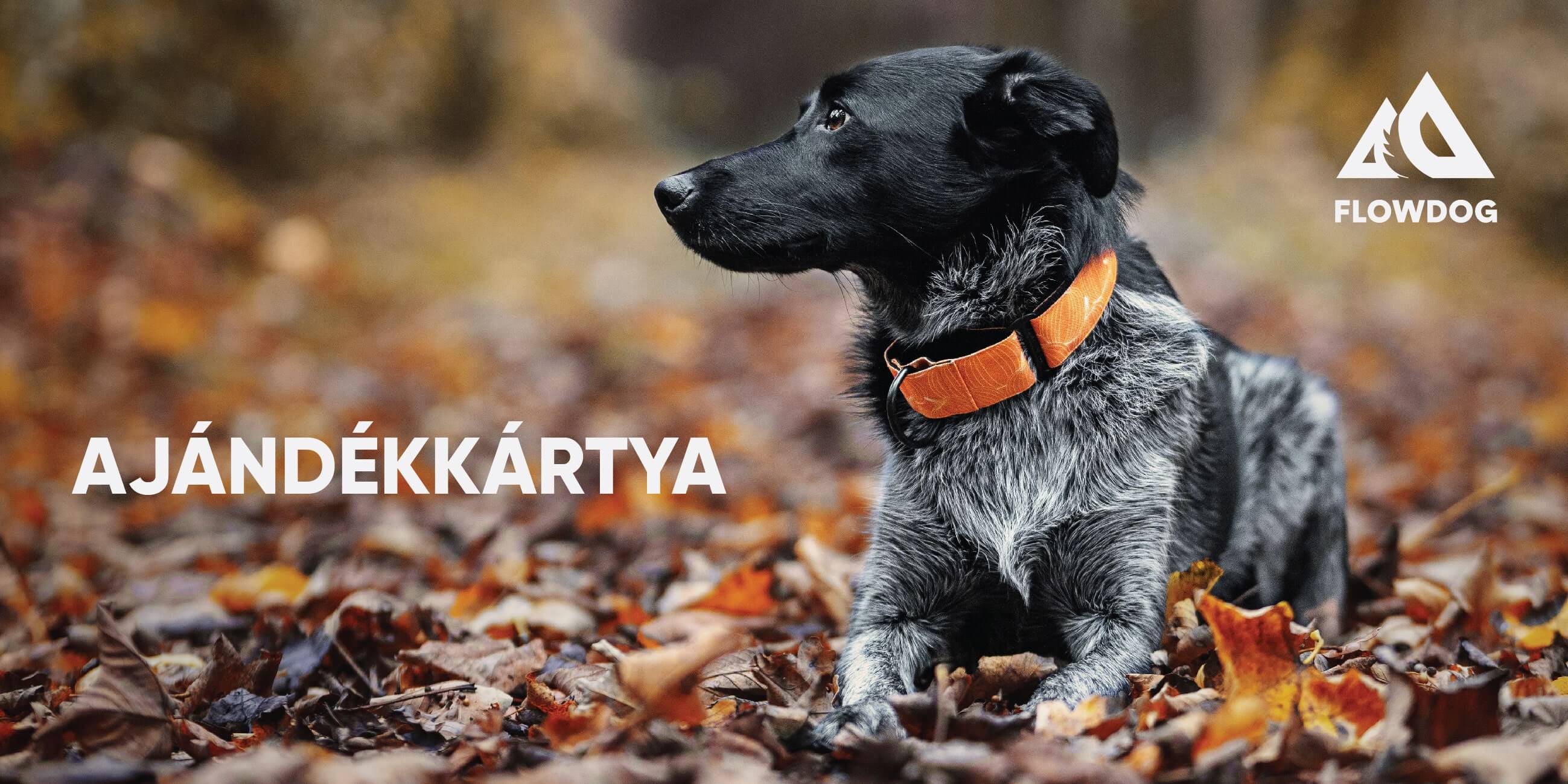 Online Ajándékkártya